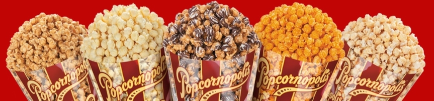 Popcornoplis Fundraiser